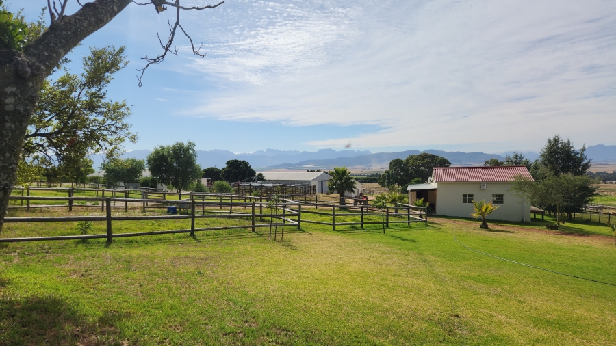 To Let 0 Bedroom Property for Rent in Paarl Rural Western Cape